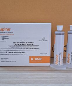 Alpine Rotation 1