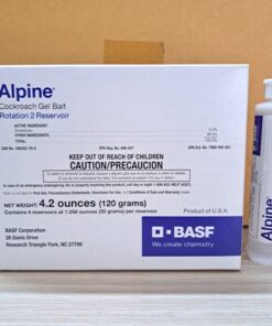 Alpine Rotation 2