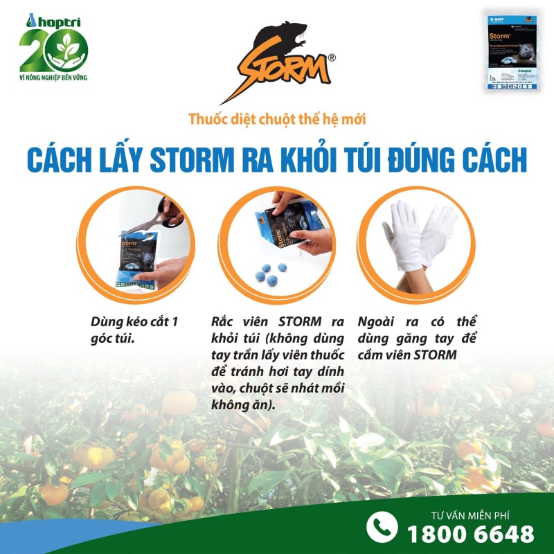 cach-lay-thuoc-diet-chuot-storm-ra-khoi-tui-dung-cach