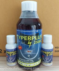 Cyper Plus 250EC