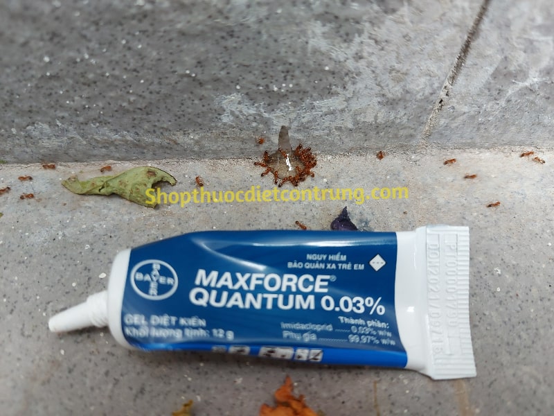 gel-diet-kien-maxforce-quantum-12g