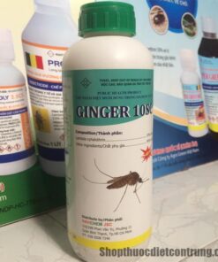 Ginger 10SC