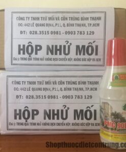 Hộp nhử mối