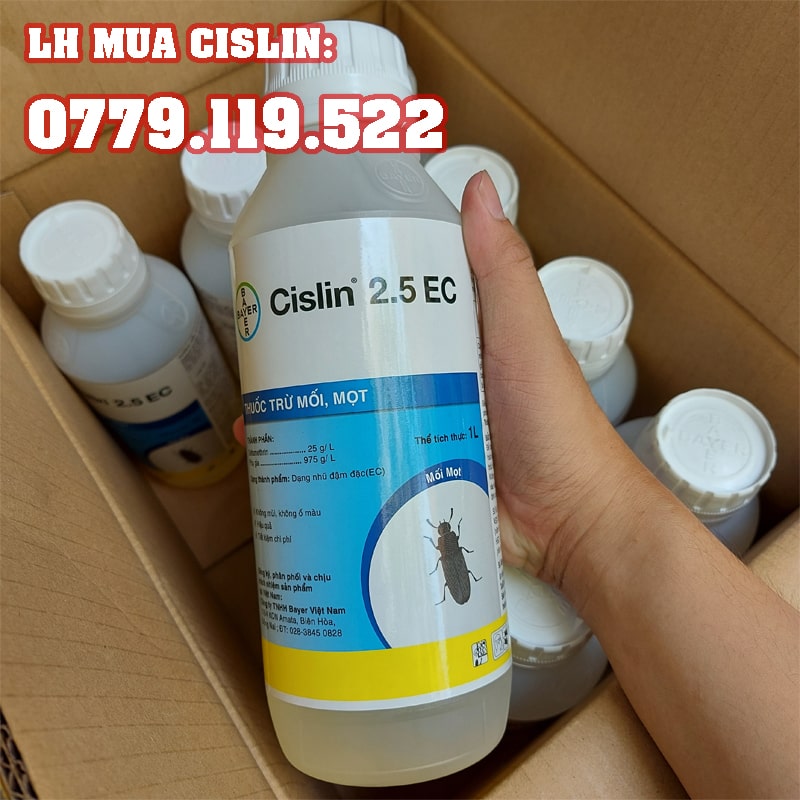 mua-cislin-2.5ec