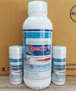 Spectra 10SC