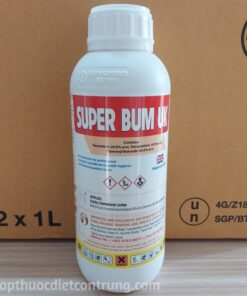 SUPER BUM UK