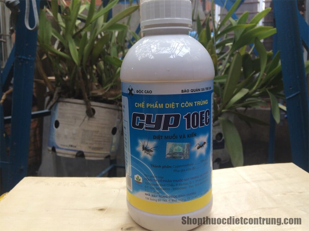 Thuốc diệt kiến côn trùng Cyp 10EC